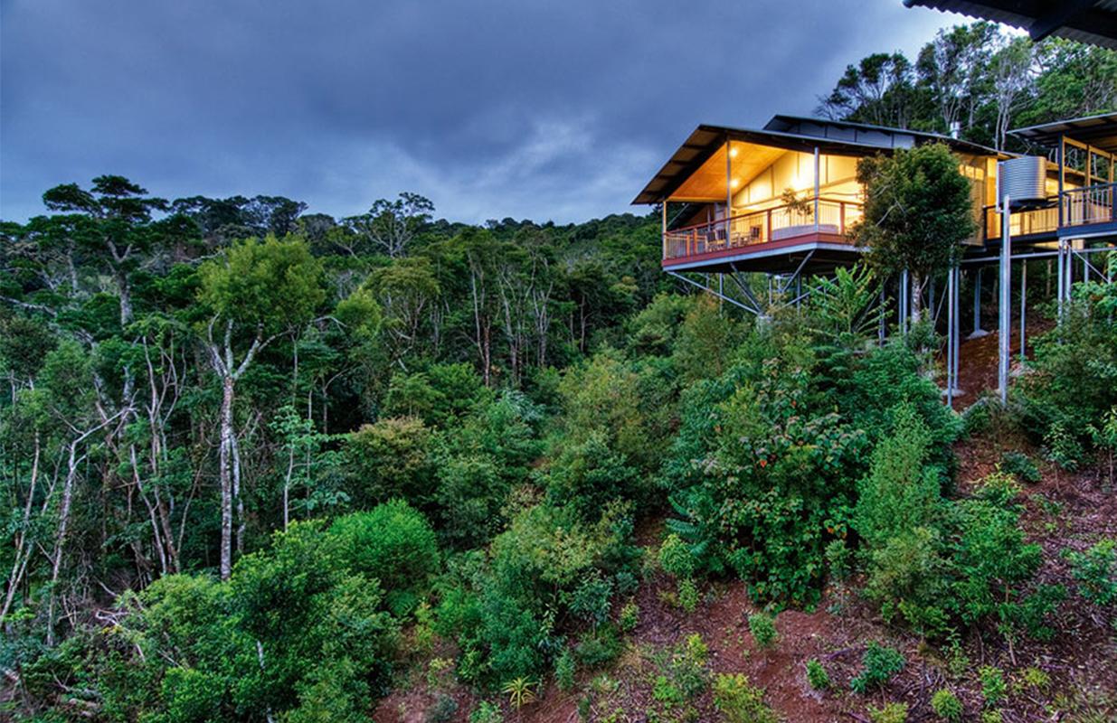 O'Reilly's Rainforest Retreat Image 1